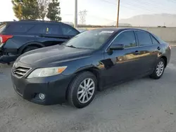 Toyota Camry Base salvage cars for sale: 2010 Toyota Camry Base