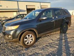 Salvage cars for sale at auction: 2011 KIA Sorento Base