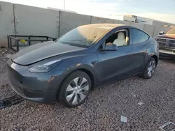 Salvage cars for sale at Phoenix, AZ auction: 2023 Tesla Model Y