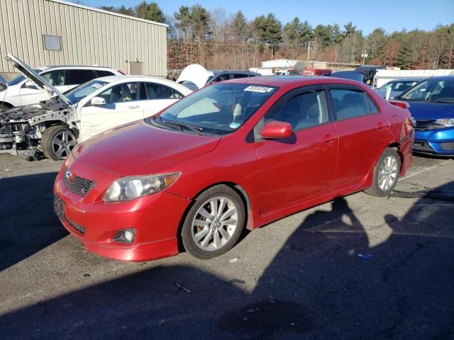 2010 Toyota Corolla Base