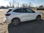 2024 Ford Escape ST Line