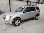 2008 Ford Escape XLT