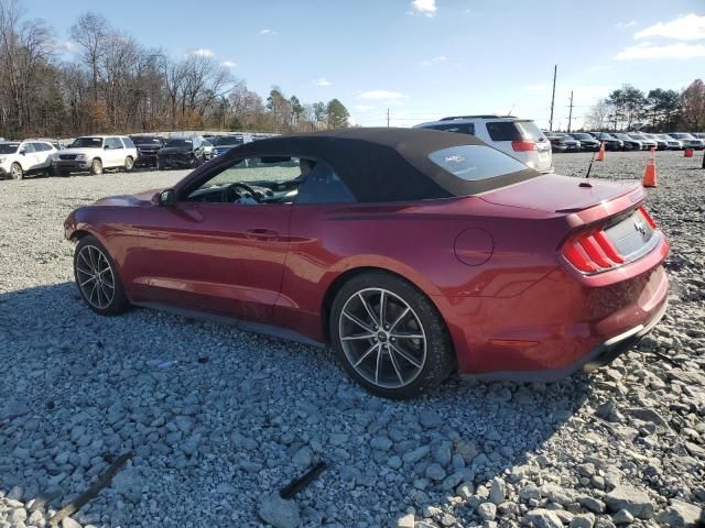 2019 Ford Mustang