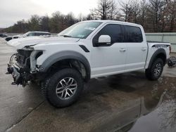 Salvage cars for sale from Copart Brookhaven, NY: 2017 Ford F150 Raptor