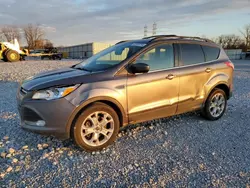 2013 Ford Escape SE en venta en Barberton, OH