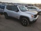 2019 Jeep Renegade Trailhawk