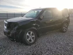 Salvage cars for sale at Magna, UT auction: 2013 Honda Pilot EXL