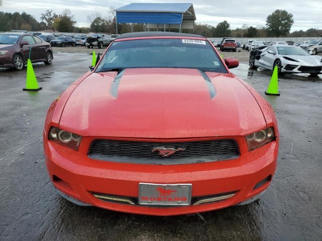 2010 Ford Mustang