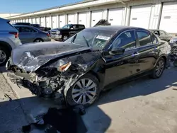 Honda Accord exl salvage cars for sale: 2012 Honda Accord EXL