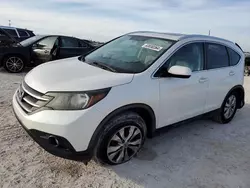 Salvage cars for sale at Arcadia, FL auction: 2014 Honda CR-V EXL