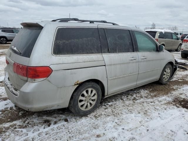 2010 Honda Odyssey EXL