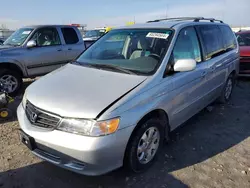 Salvage cars for sale at Cahokia Heights, IL auction: 2002 Honda Odyssey EX