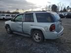 2008 Chevrolet Trailblazer LS