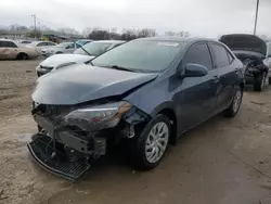 2019 Toyota Corolla L en venta en Louisville, KY