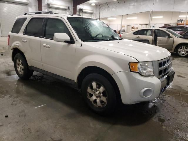 2011 Ford Escape Limited