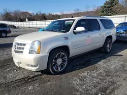 Cadillac Vehiculos salvage en venta: 2012 Cadillac Escalade ESV Premium