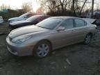 2005 Lexus ES 330