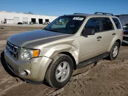 Salvage cars for sale at Riverview, FL auction: 2012 Ford Escape XLT