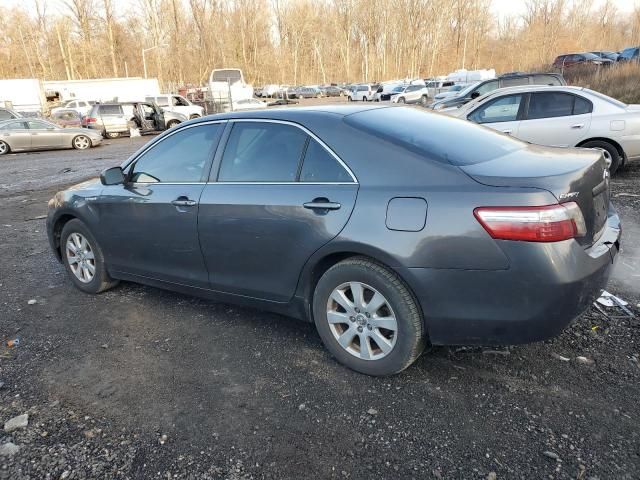 2008 Toyota Camry Hybrid