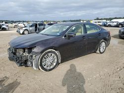 Lexus salvage cars for sale: 2013 Lexus ES 350