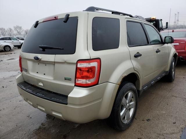 2010 Ford Escape XLT