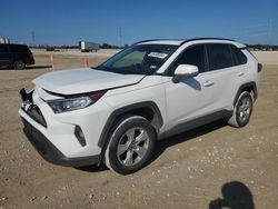 Salvage cars for sale at New Braunfels, TX auction: 2020 Toyota Rav4 XLE