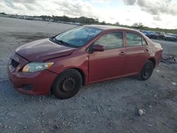 Salvage cars for sale at West Palm Beach, FL auction: 2009 Toyota Corolla Base