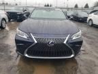 2021 Lexus ES 300H Luxury