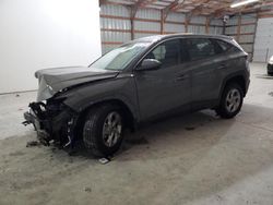 Salvage cars for sale at Lawrenceburg, KY auction: 2024 Hyundai Tucson SE