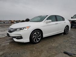 Salvage cars for sale at Antelope, CA auction: 2016 Honda Accord EXL