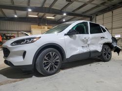 Salvage cars for sale at Rogersville, MO auction: 2022 Ford Escape SE