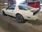 1984 Pontiac Firebird