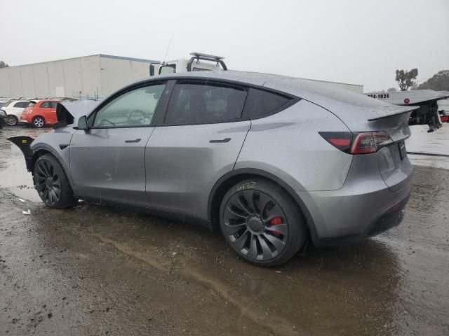 2025 Tesla Model Y