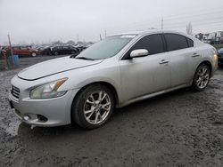 Salvage cars for sale at Eugene, OR auction: 2013 Nissan Maxima S