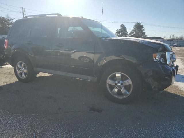 2010 Ford Escape Limited