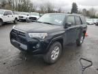 2024 Toyota 4runner SR5/SR5 Premium