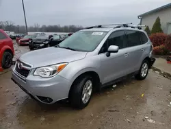 Salvage cars for sale at Louisville, KY auction: 2015 Subaru Forester 2.5I Limited