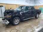 2024 Ford F150 XLT