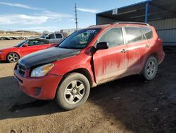 Salvage cars for sale at Colorado Springs, CO auction: 2010 Toyota Rav4