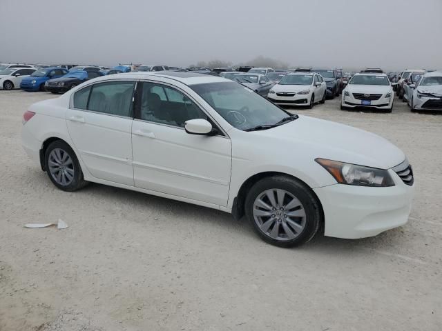 2011 Honda Accord EXL