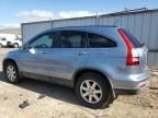 2007 Honda CR-V EXL