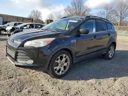 Salvage cars for sale at Laurel, MD auction: 2013 Ford Escape SE