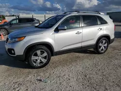 Salvage cars for sale at Arcadia, FL auction: 2013 KIA Sorento EX