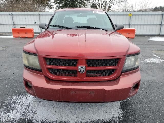 2010 Dodge Dakota SXT