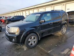 Salvage cars for sale at auction: 2011 Honda Pilot EXL