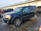 2011 Honda Pilot EXL