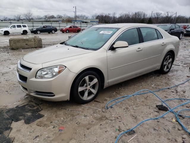 2011 Chevrolet Malibu 1LT