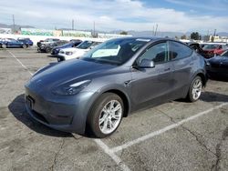 Salvage cars for sale at Van Nuys, CA auction: 2023 Tesla Model Y