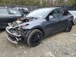 Tesla salvage cars for sale: 2021 Tesla Model Y