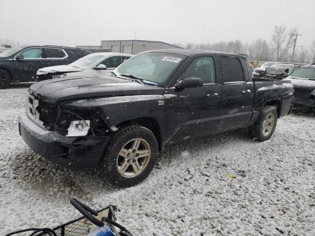 2011 Dodge Dakota SLT